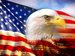https://whereisacopwhenyouneedone.angelfire.com/rsz_bald_eagle_head_and_american_flag1.jpg